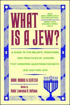 bokomslag What Is a Jew