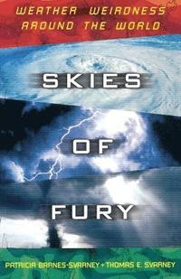 bokomslag Skies of Fury