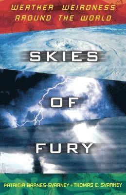 bokomslag Skies of Fury