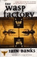 bokomslag Wasp Factory
