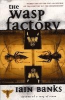 Iain Banks - The Wasp Factory, Häftad