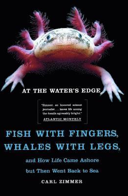 bokomslag At the Water's Edge: Fish with Fingers, Whales with Legs, and How Life Came Ashore But Then Went Back to Sea