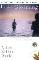 bokomslag In the Gloaming: Stories