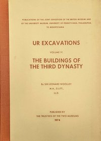 bokomslag Ur Excavations  The Buildings of the Third Dynasty