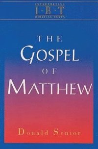 bokomslag Interpreting Biblical Texts: Gospel of Matthew