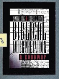 bokomslag Biblical Interpretation