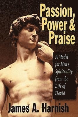 bokomslag Passion Power and Praise