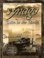 bokomslag Synago Calm in the Storm Leader: Student Led Senior High Cell Group