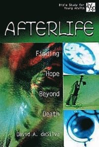 bokomslag Afterlife