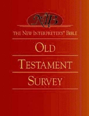 bokomslag The New Interpreter's Bible: Old Testament Survey