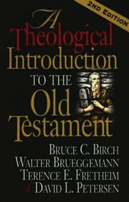 Bruce C. Birch, Terence E. Fretheim, Walter Brueggemann - Theological Introduction to the Old Testament, Häftad