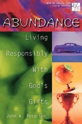 bokomslag 20/30 Bible Study for Young Adults Abundance