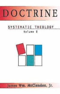 bokomslag Systematic Theology Volume 2