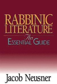 bokomslag Rabbinic Literature
