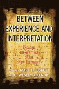 bokomslag Between Experience and Interpretation