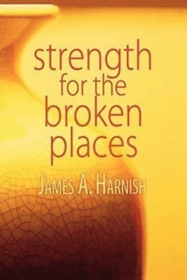 bokomslag Strength for the Broken Places