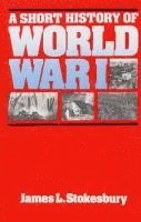 bokomslag A Short History of World War I