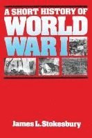 bokomslag Short History of World War I, A