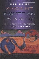 bokomslag Ancient Egyptian Magic