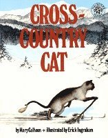 Cross-Country Cat 1