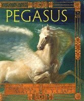 bokomslag Pegasus