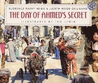 bokomslag Day Of Ahmed's Secret