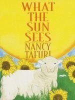 What the Sun Sees 1