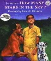 bokomslag How Many Stars in the Sky?