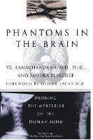 bokomslag Phantoms In The Brain