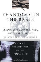 bokomslag Phantoms in the Brain