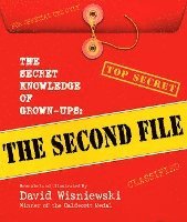 bokomslag Secret Knowledge Of Grown-Ups: The Second File