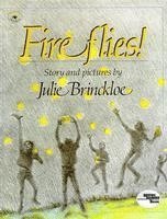bokomslag Fireflies!
