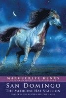 San Domingo: The Medicine Hat Stallion