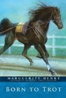 Henry - Born to Trot, Häftad