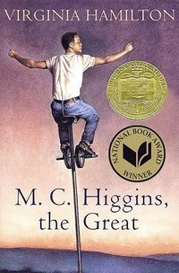 bokomslag M.C. Higgins, the Great