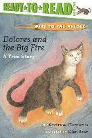 Andrew Clements - Dolores and the Big Fire: Dolores and the Big Fire (Ready-To-Read Level 1), Häftad