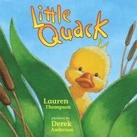 bokomslag Little Quack