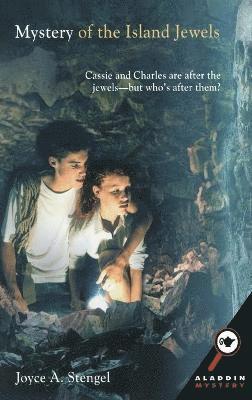 Mystery of the Island Jewels