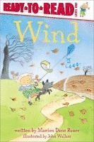 bokomslag Wind: Ready-To-Read Level 1