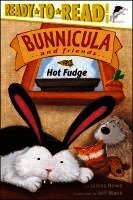Hot Fudge: Ready-To-Read Level 3