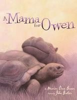 bokomslag Mama for Owen
