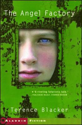 Terence Blacker - The Angel Factory, Häftad