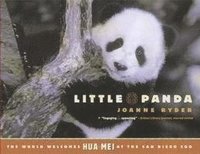 bokomslag Little Panda: The World Welcomes Hua Mei at the San Diego Zoo