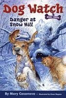 bokomslag Danger at Snow Hill