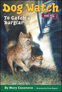 bokomslag To Catch a Burglar
