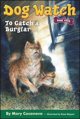 To Catch a Burglar 1