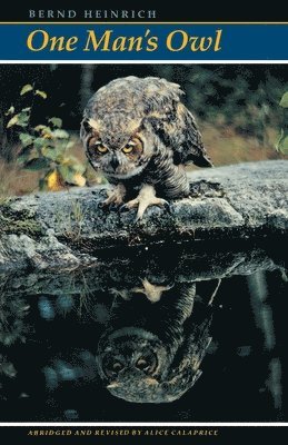 Bernd Heinrich - One Man's Owl, Häftad