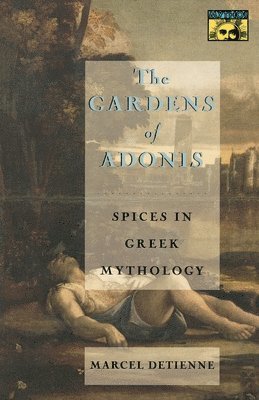 Marcel Detienne - Gardens of Adonis, Häftad