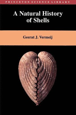 A Natural History of Shells 1