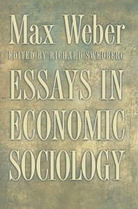 bokomslag Essays in Economic Sociology